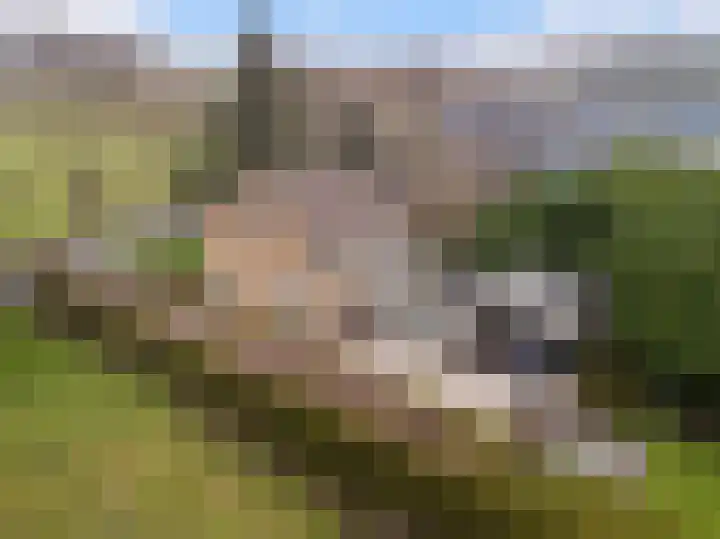 Mastwijkerdijk 90 Montfoort thumbnail 4