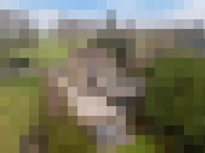Mastwijkerdijk 90 Montfoort thumbnail 40