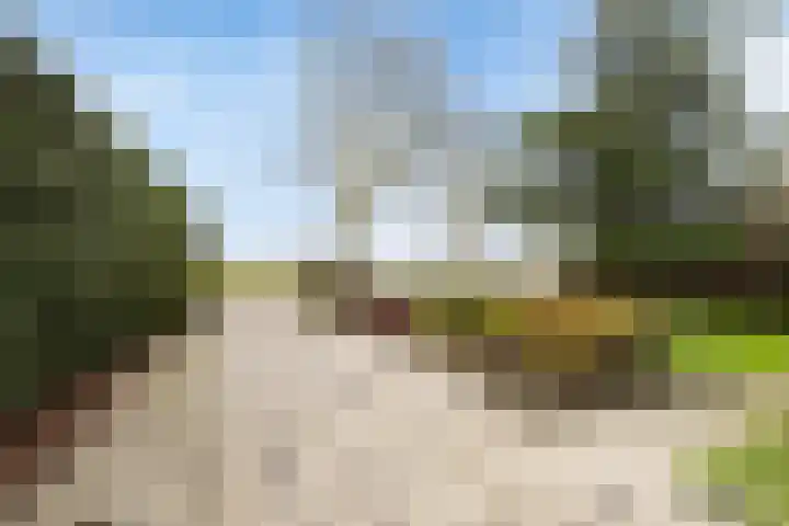 Mastwijkerdijk 90 Montfoort thumbnail 41