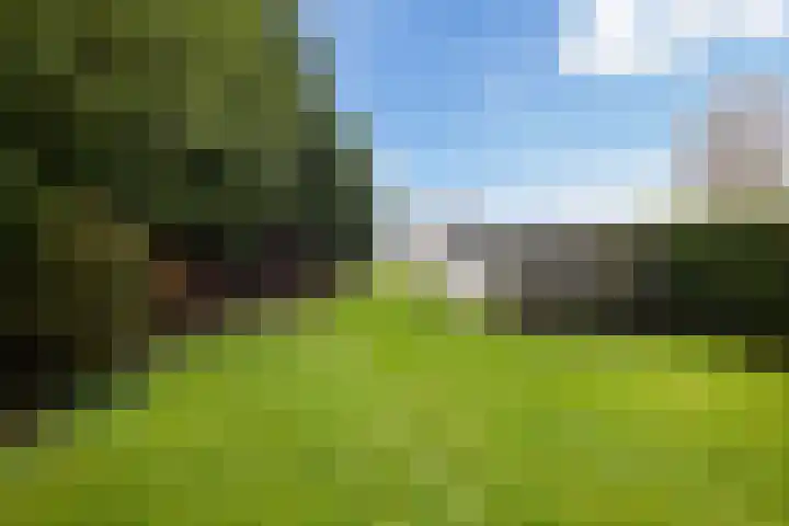 Mastwijkerdijk 90 Montfoort thumbnail 43