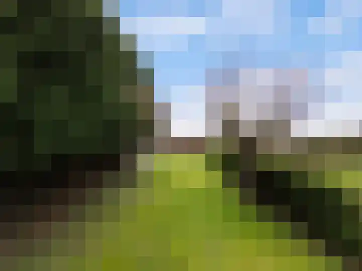 Mastwijkerdijk 90 Montfoort thumbnail 45