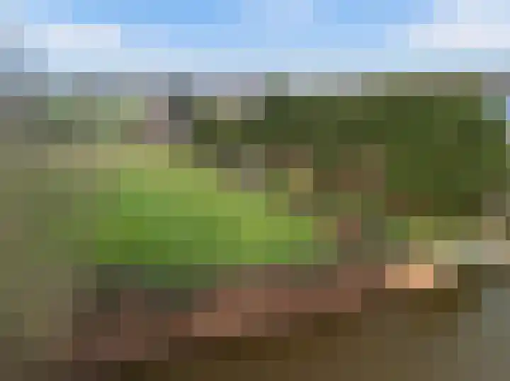 Mastwijkerdijk 90 Montfoort thumbnail 5