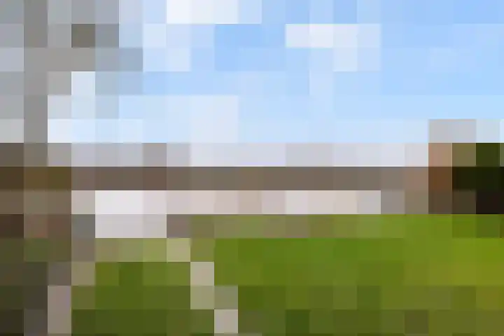 Mastwijkerdijk 90 Montfoort thumbnail 6