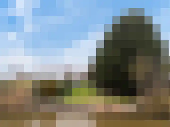 Mastwijkerdijk 90 Montfoort thumbnail 7