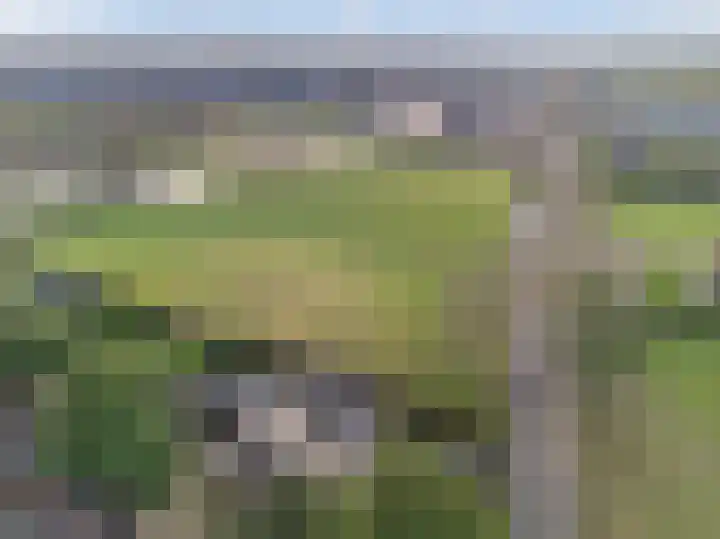 Mastwijkerdijk 90 Montfoort thumbnail 9