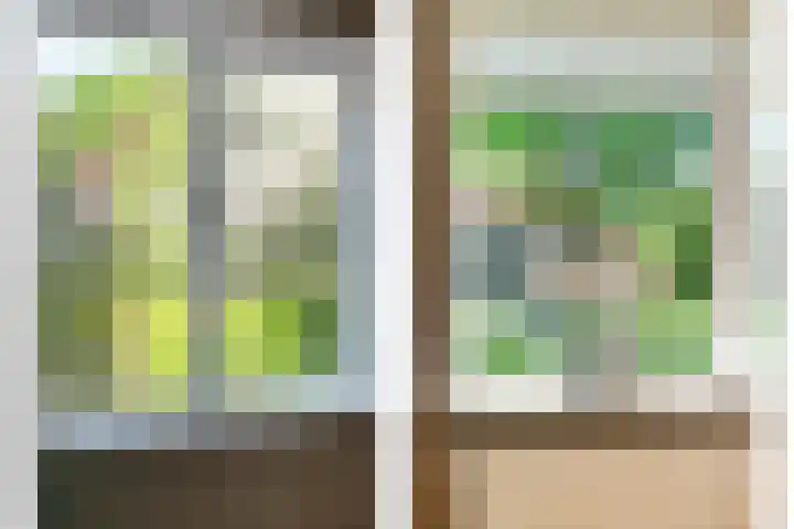 Mataramweg 9 Dalfsen thumbnail 25