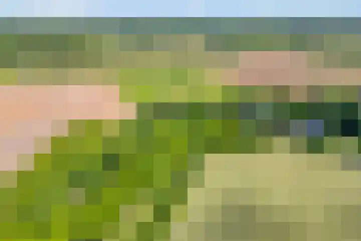 Mataramweg 9 Dalfsen thumbnail 4