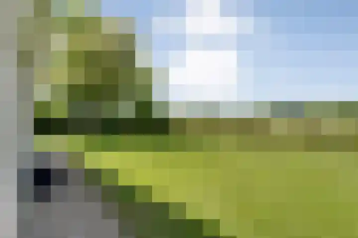Mataramweg 9 Dalfsen thumbnail 44