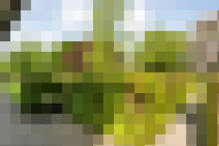 Mataramweg 9 Dalfsen thumbnail 45