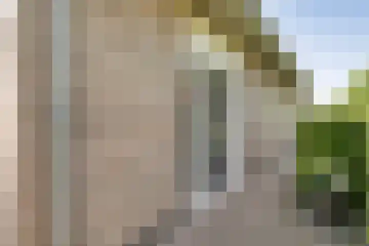 Mataramweg 9 Dalfsen thumbnail 46