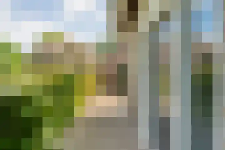 Mataramweg 9 Dalfsen thumbnail 47