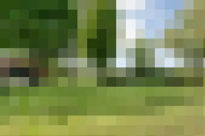 Mataramweg 9 Dalfsen thumbnail 49