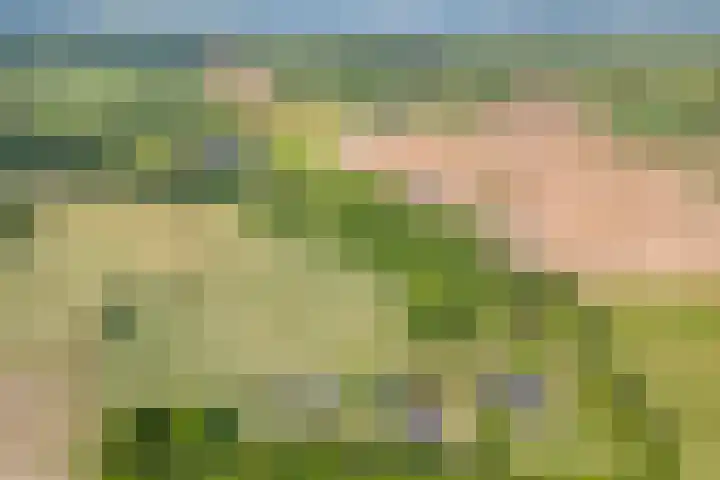 Mataramweg 9 Dalfsen thumbnail 5