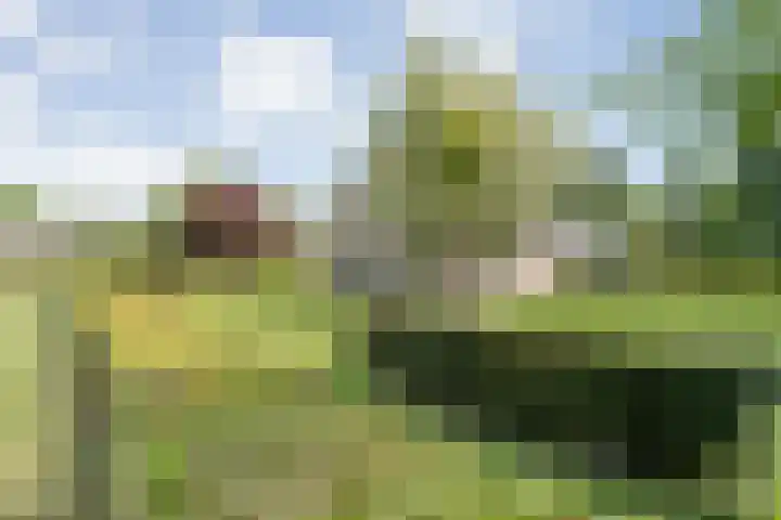 Mataramweg 9 Dalfsen thumbnail 51