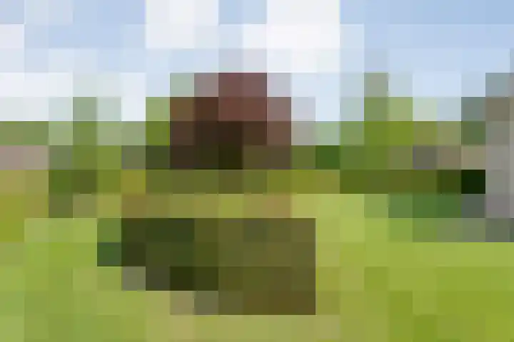 Mataramweg 9 Dalfsen thumbnail 53