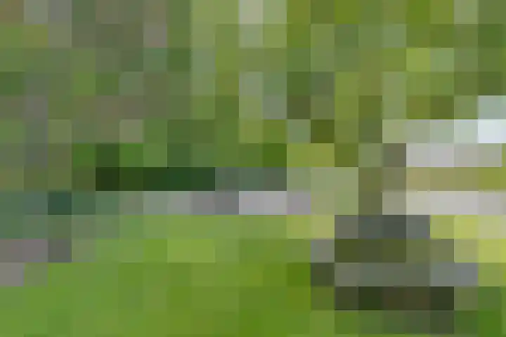 Mataramweg 9 Dalfsen thumbnail 54