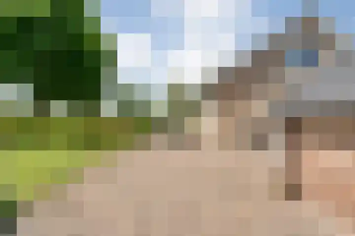 Mataramweg 9 Dalfsen thumbnail 55