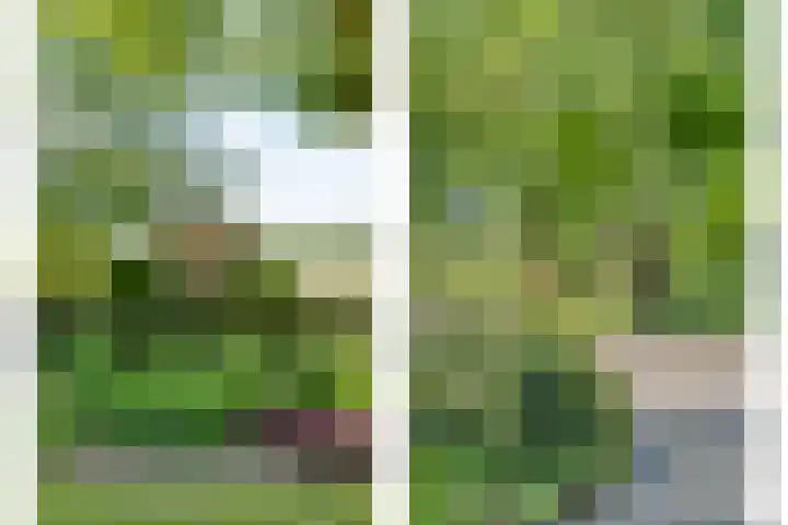 Mataramweg 9 Dalfsen thumbnail 58