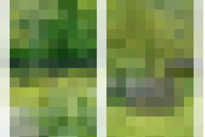 Mataramweg 9 Dalfsen thumbnail 59