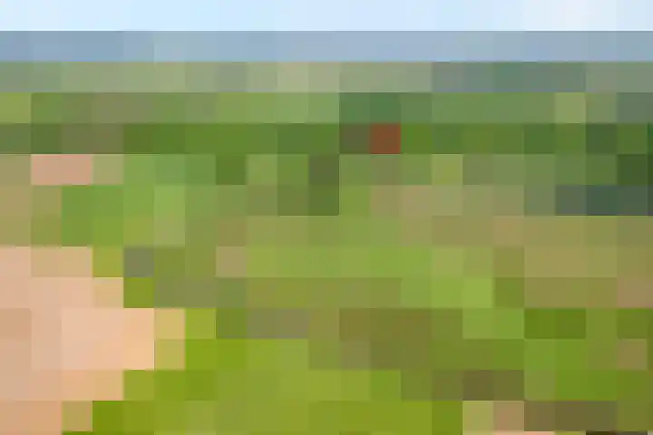Mataramweg 9 Dalfsen thumbnail 6