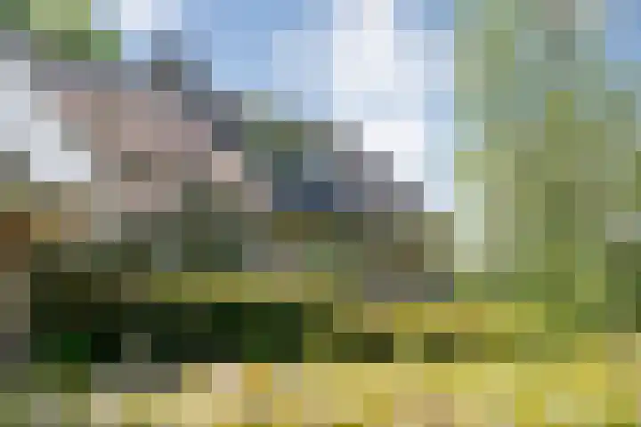 Mataramweg 9 Dalfsen thumbnail 60