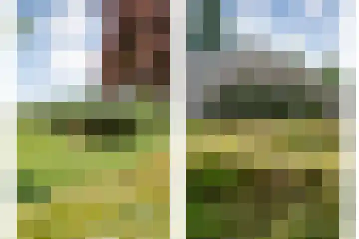 Mataramweg 9 Dalfsen thumbnail 61