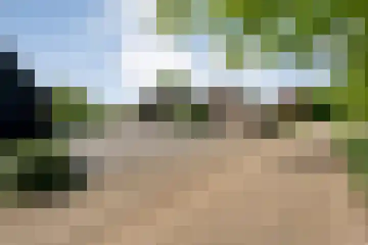Mataramweg 9 Dalfsen thumbnail 62