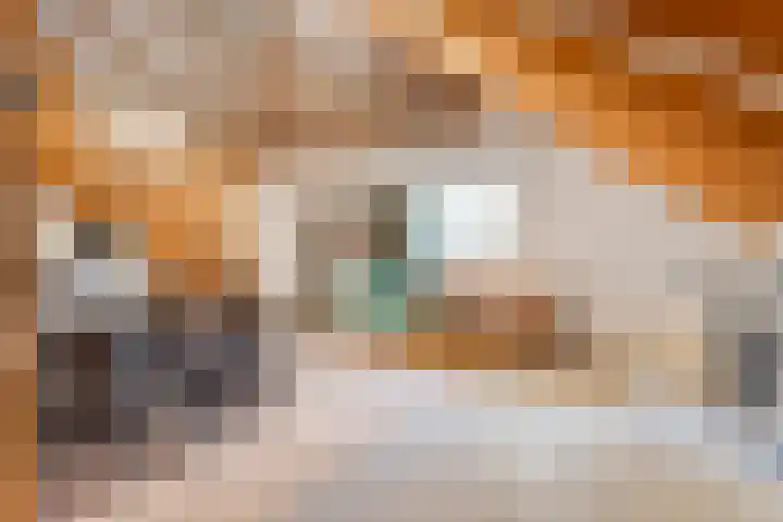 Mataramweg 9 Dalfsen thumbnail 68
