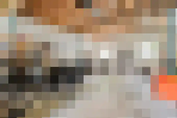 Mataramweg 9 Dalfsen thumbnail 69