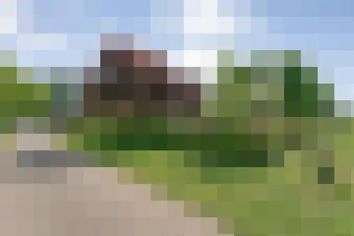 Mataramweg 9 Dalfsen thumbnail 7