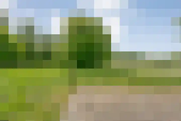 Mataramweg 9 Dalfsen thumbnail 79