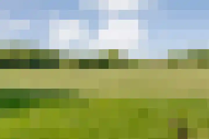 Mataramweg 9 Dalfsen thumbnail 81