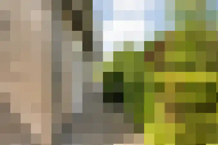 Mataramweg 9 Dalfsen thumbnail 9