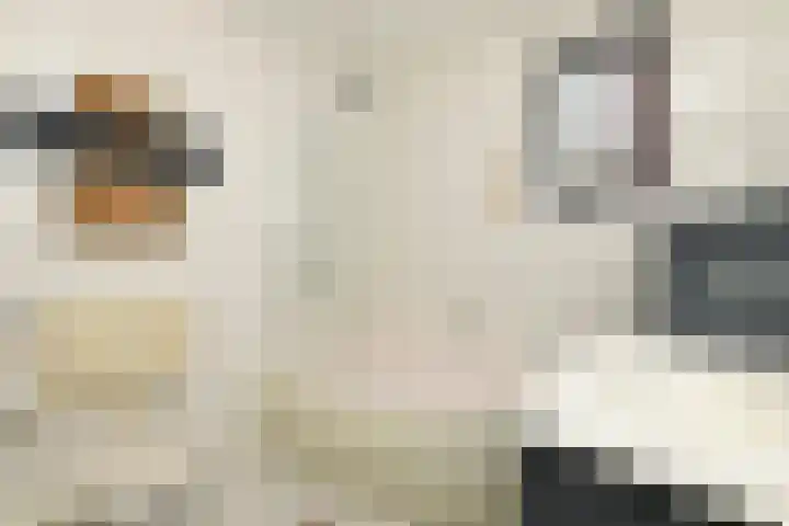 Maten 125 Leusden thumbnail 11