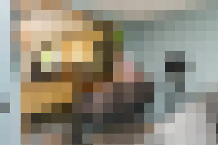 Maten 125 Leusden thumbnail 5