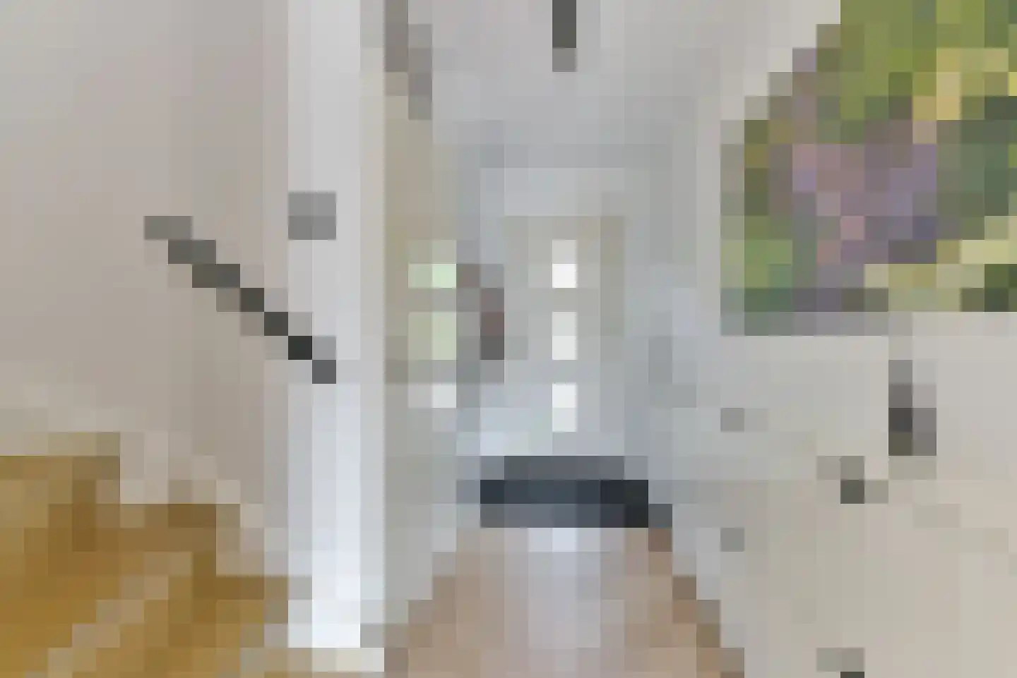 Maten 63 Leusden thumbnail 27