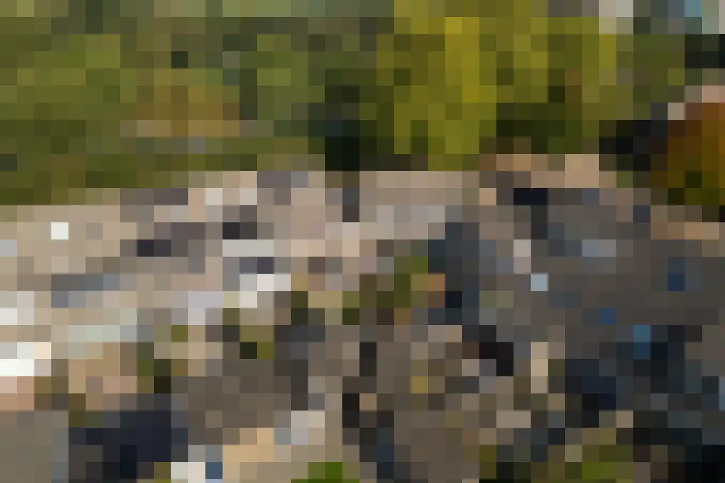 Maten 63 Leusden thumbnail 42