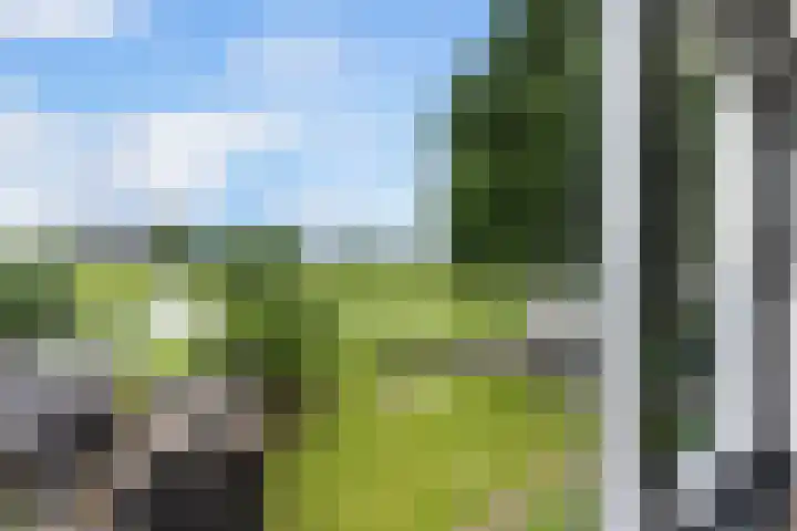 Matena 24 Papendrecht thumbnail 17