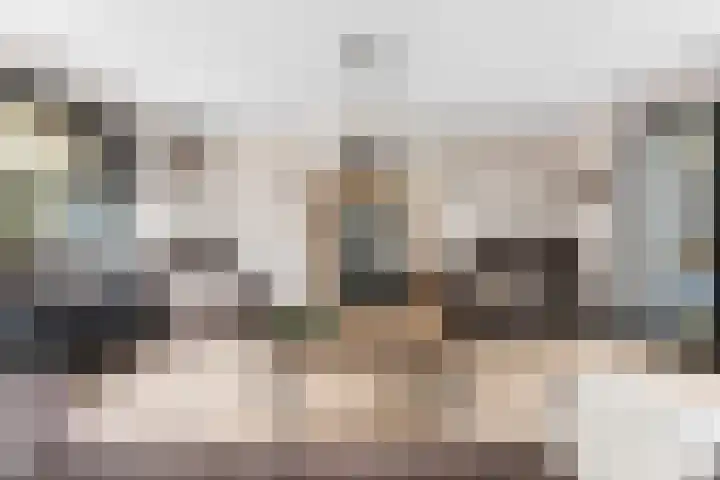 Matena 24 Papendrecht thumbnail 4