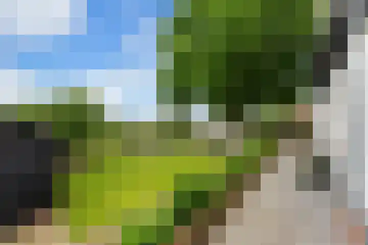Matena 24 Papendrecht thumbnail 54