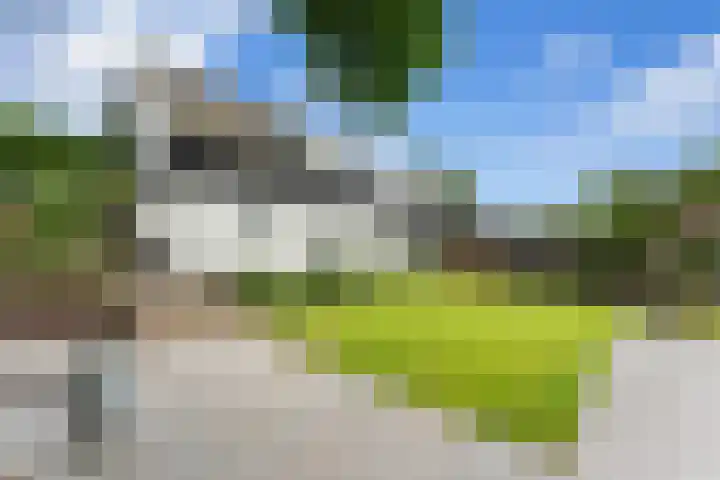 Matena 24 Papendrecht thumbnail 58