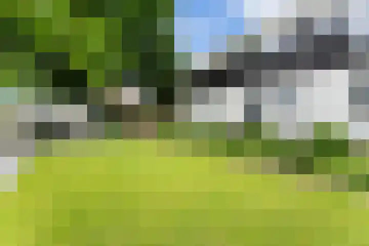 Matena 24 Papendrecht thumbnail 59