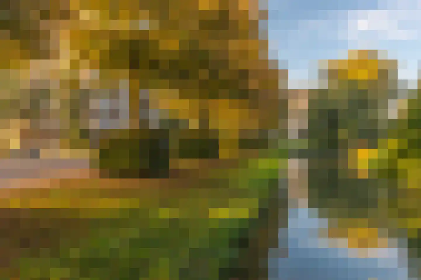 Matenalaan 107 Arnhem thumbnail 29