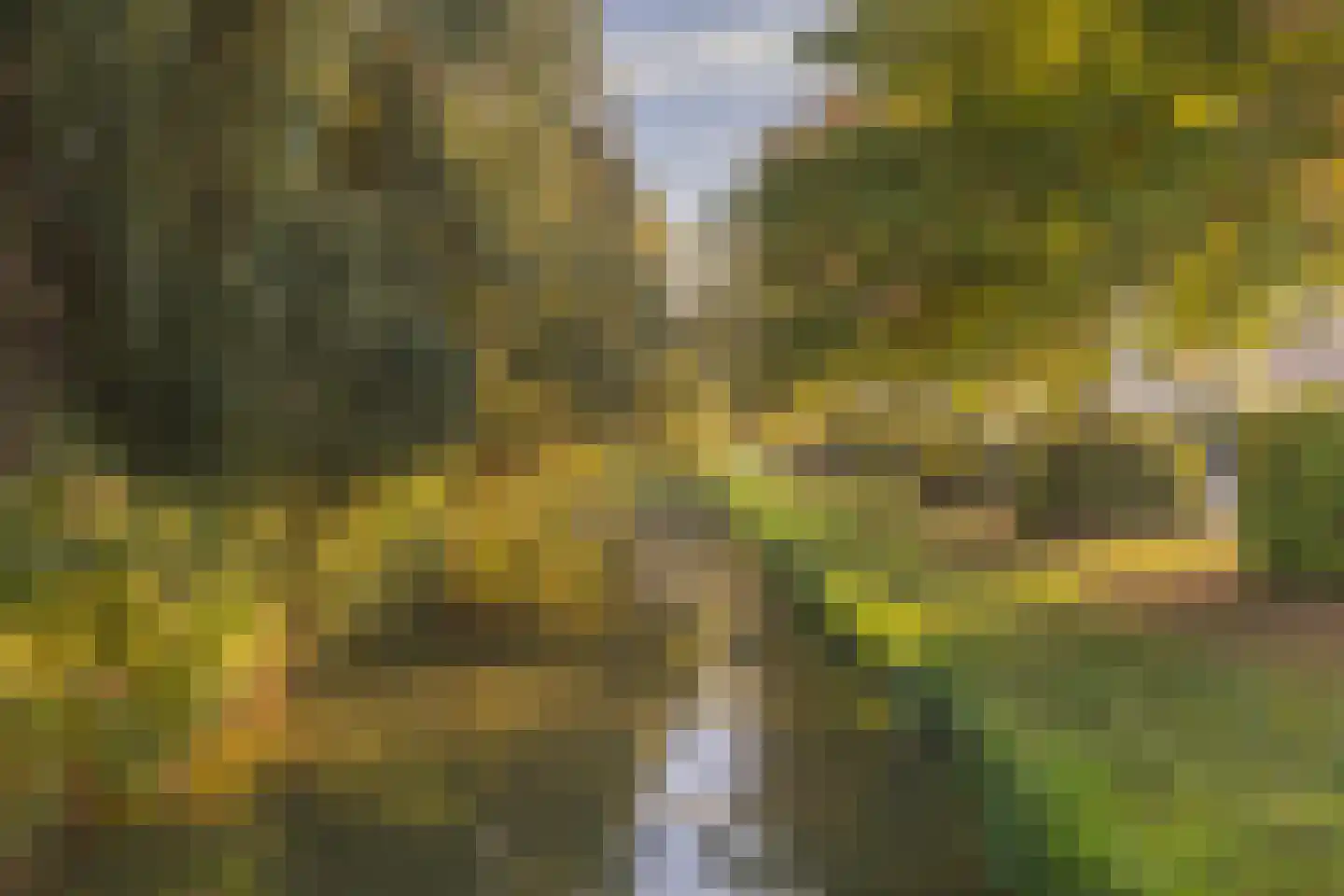 Matenalaan 107 Arnhem thumbnail 30