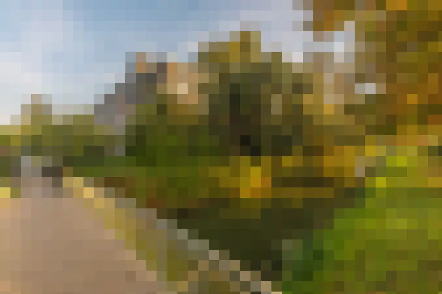Matenalaan 107 Arnhem thumbnail 6