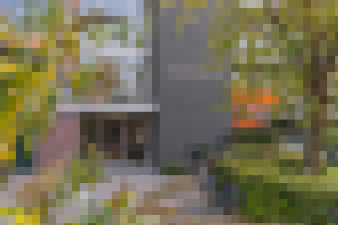 Matenalaan 107 Arnhem thumbnail 7