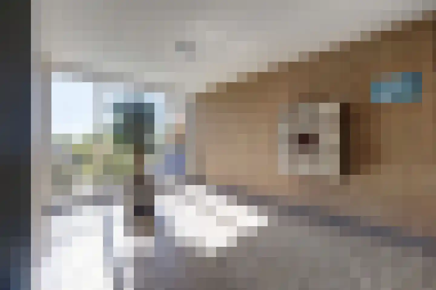 Matenalaan 121 Arnhem thumbnail 11