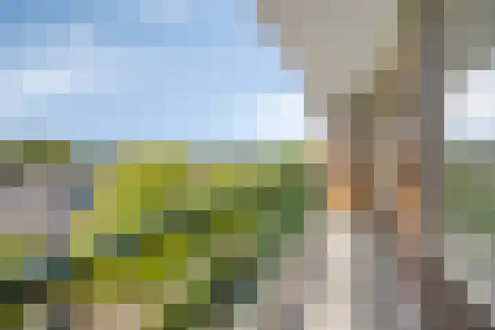 Matenalaan 123 Arnhem thumbnail 22