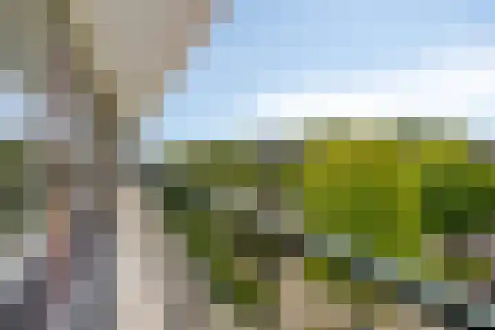 Matenalaan 123 Arnhem thumbnail 5