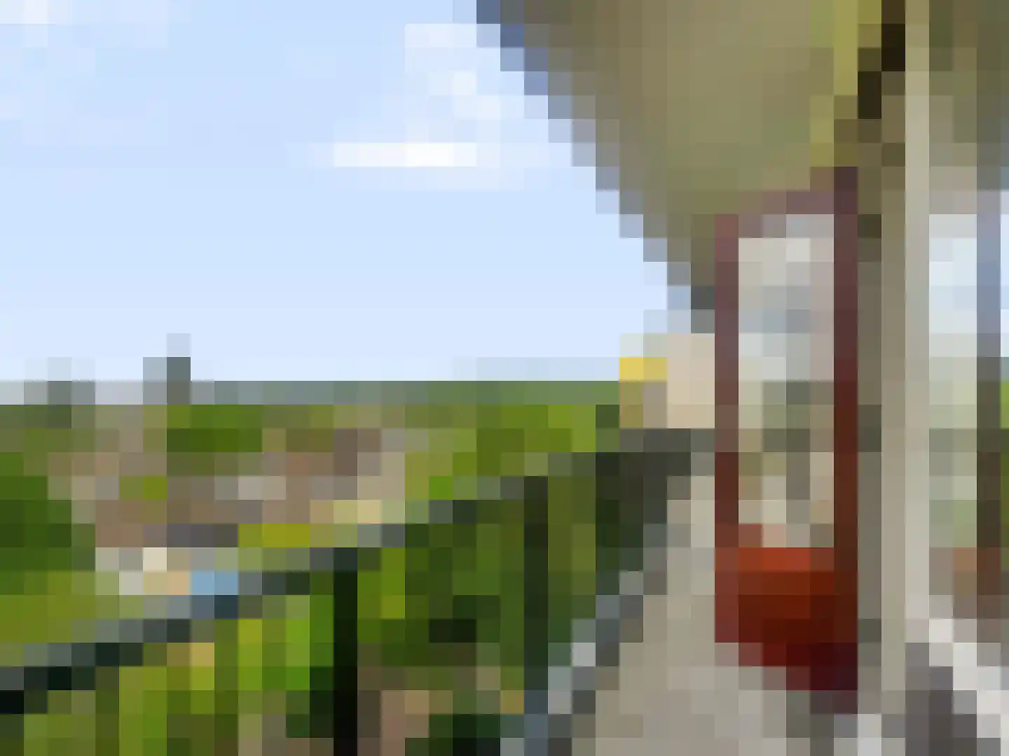 Matenalaan 145 Arnhem thumbnail 31